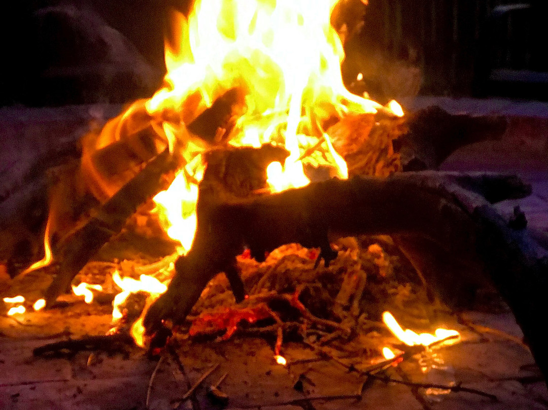 Marvel Africa Hunting Safaris-Lephalale必去景点