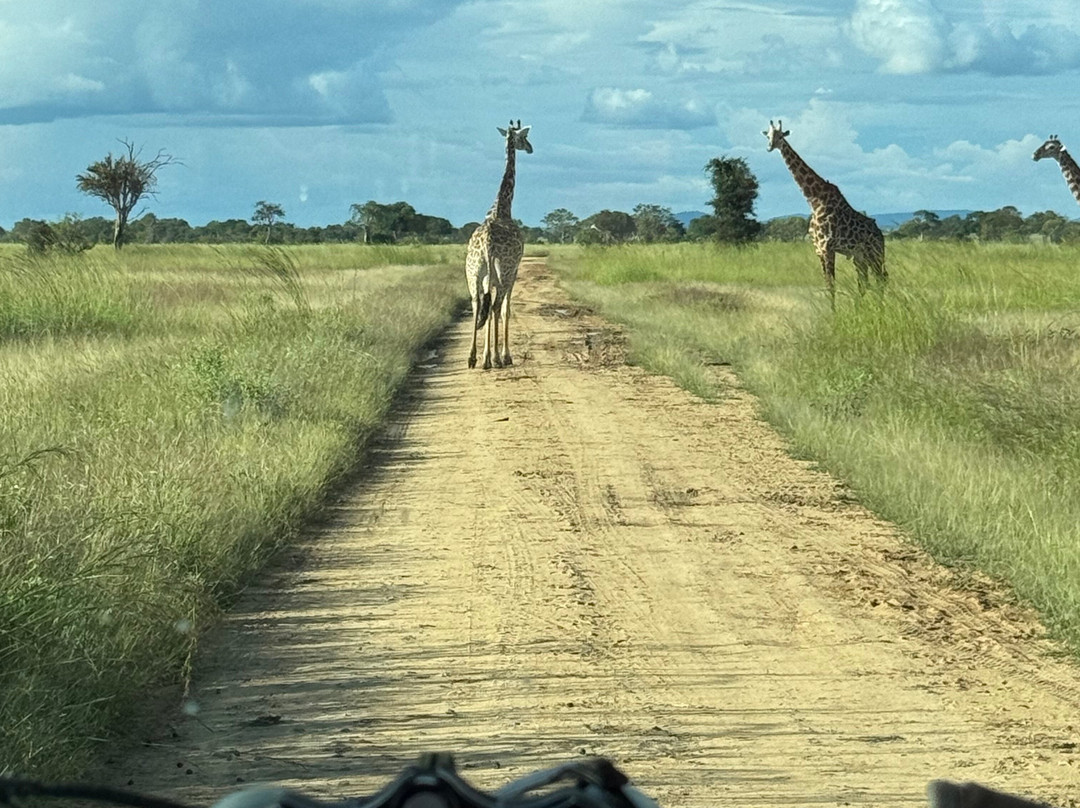 Zanzibar With Cleva-孥归必去景点