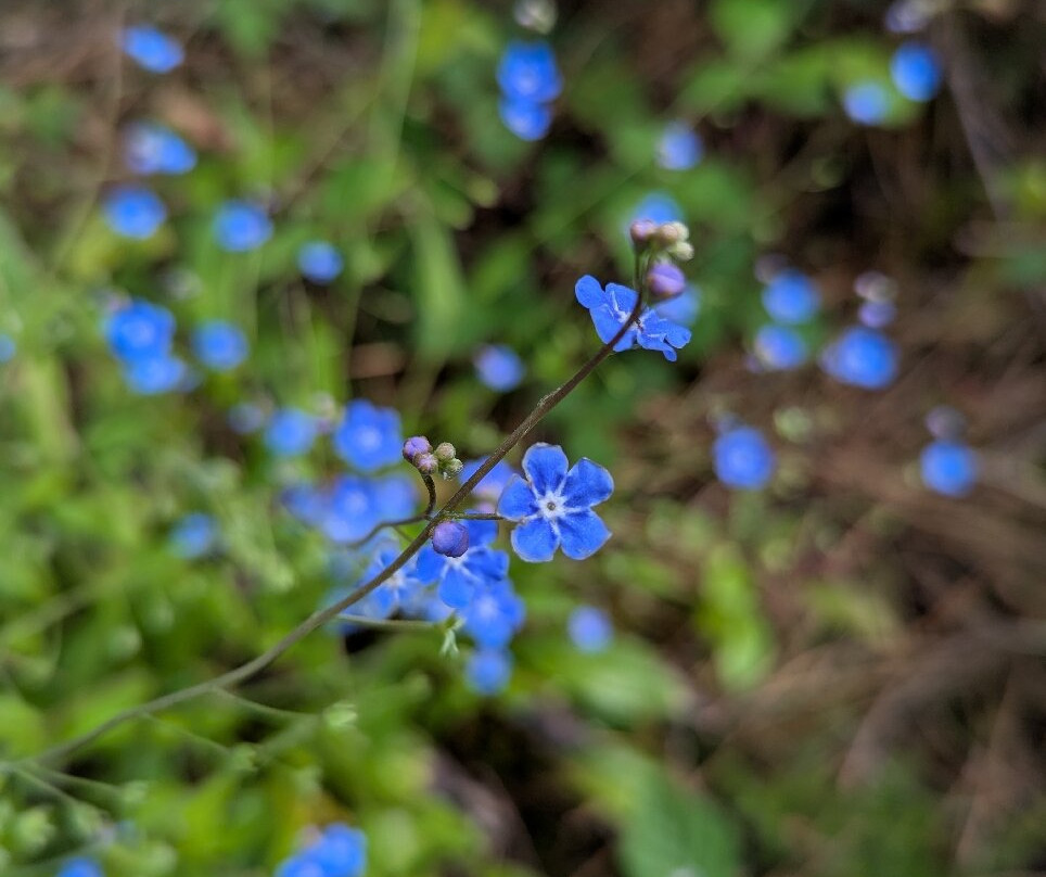 Lima Escape-Ponte da Barca必去景点