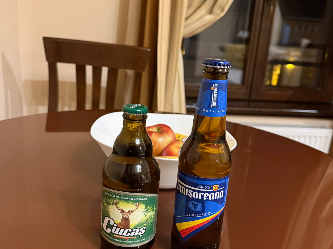Apart Hotel Iosefin Residence主图