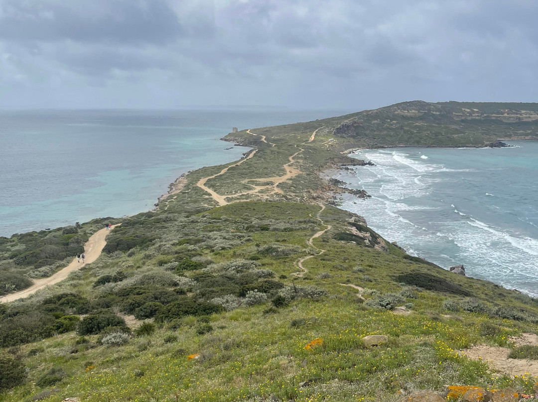 Spiaggia di San Giovanni di Sinis-卡布拉斯必去景点