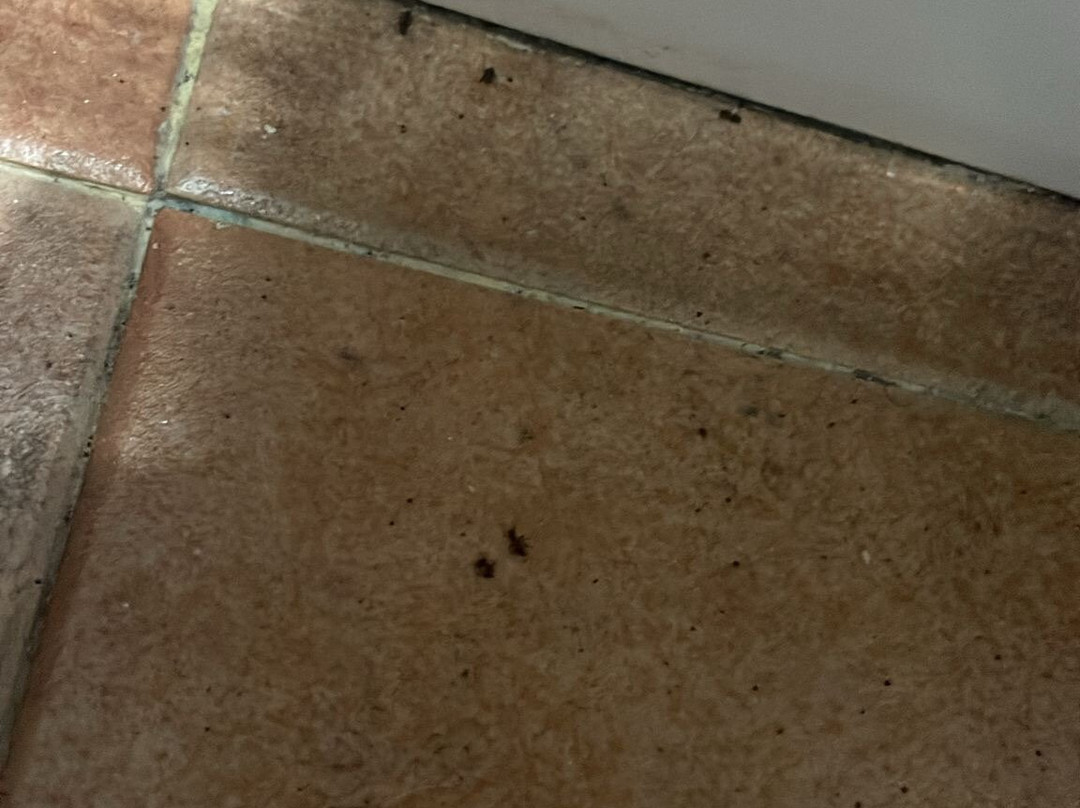 Akelarre Ostatua主图