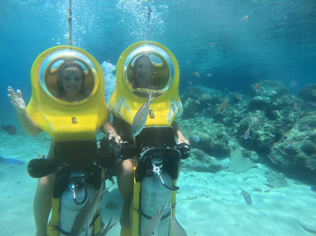 Aquafari-威廉斯塔德必去景点