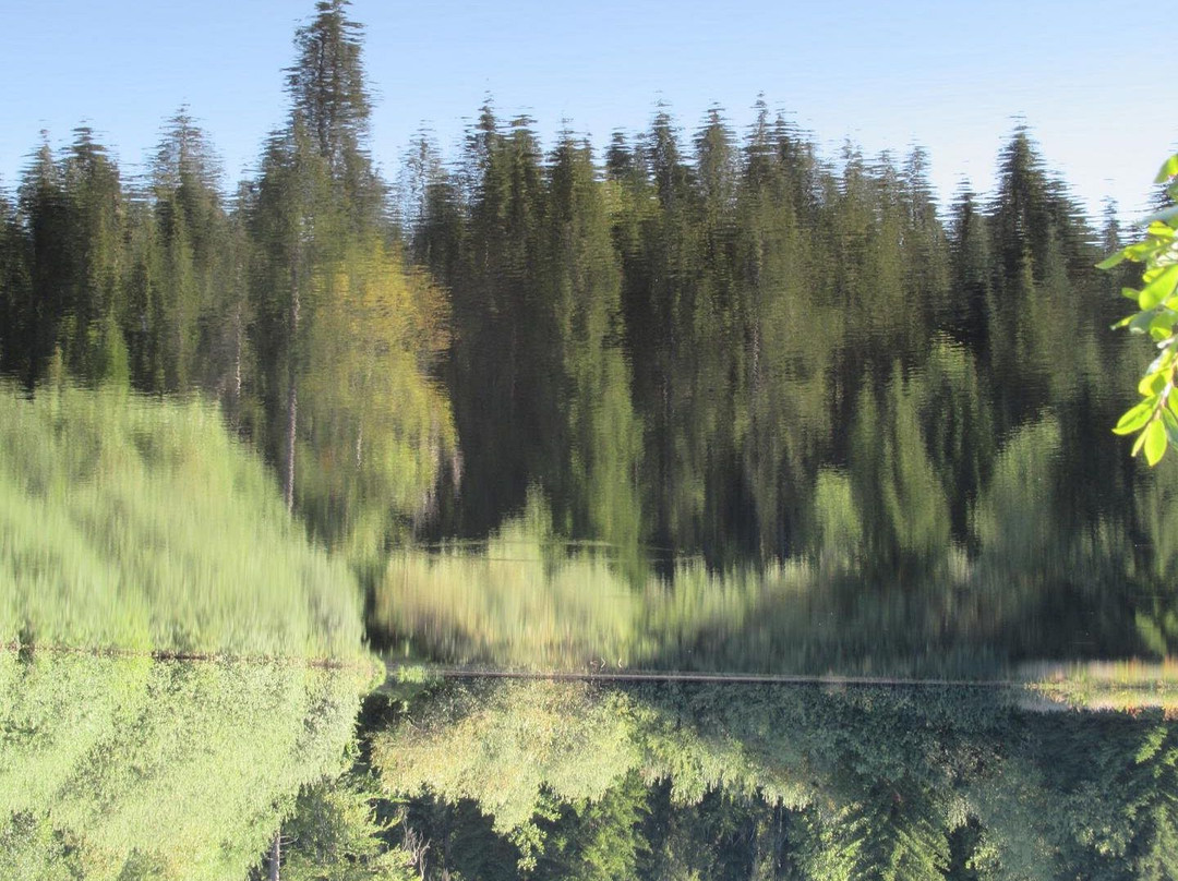 Etang des Royes-Saignelégier必去景点