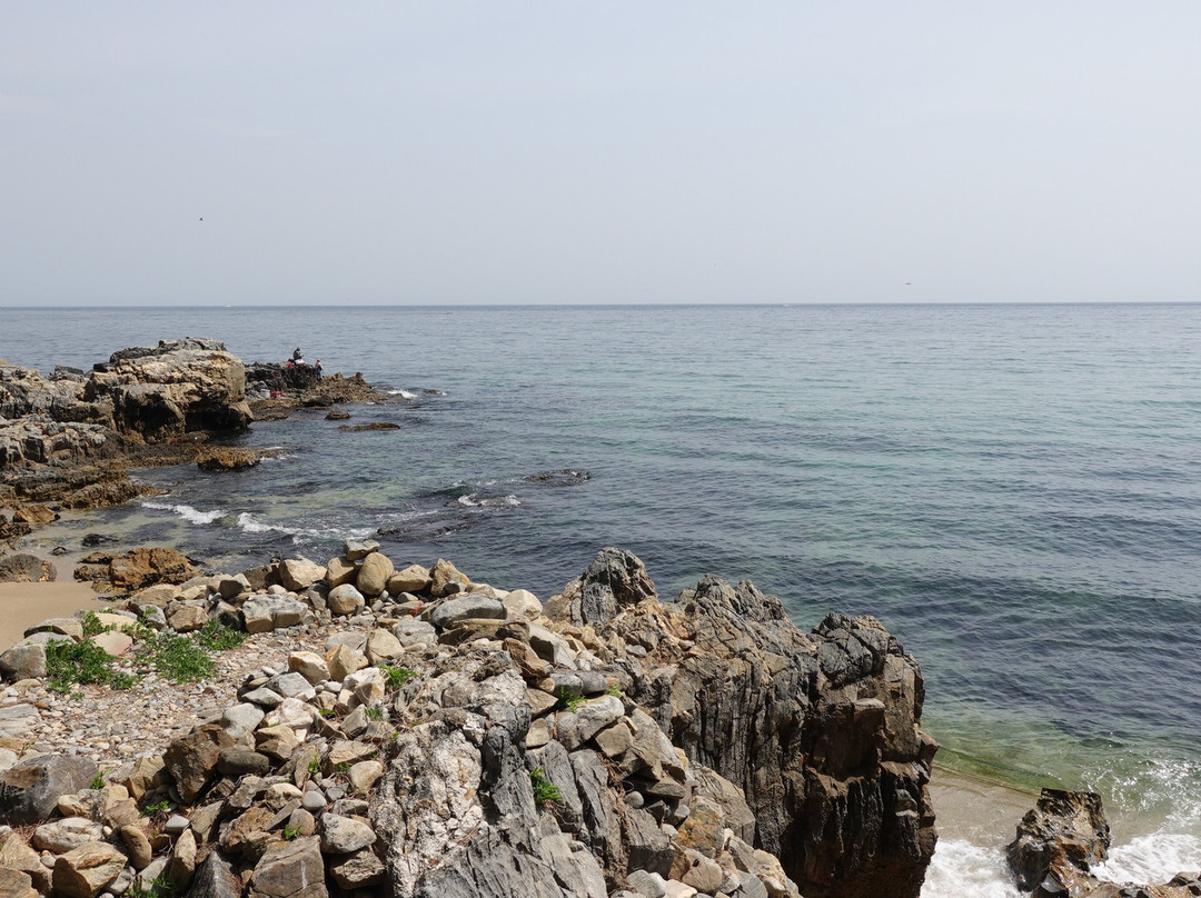 Gamchu Beach-东海市必去景点
