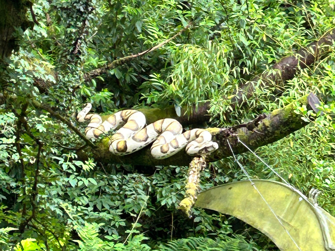 The National Showcaves Centre for Wales景点图片
