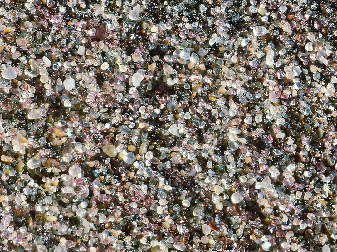 Desert Dunes & Dust Tours-斯瓦科普蒙德必去景点