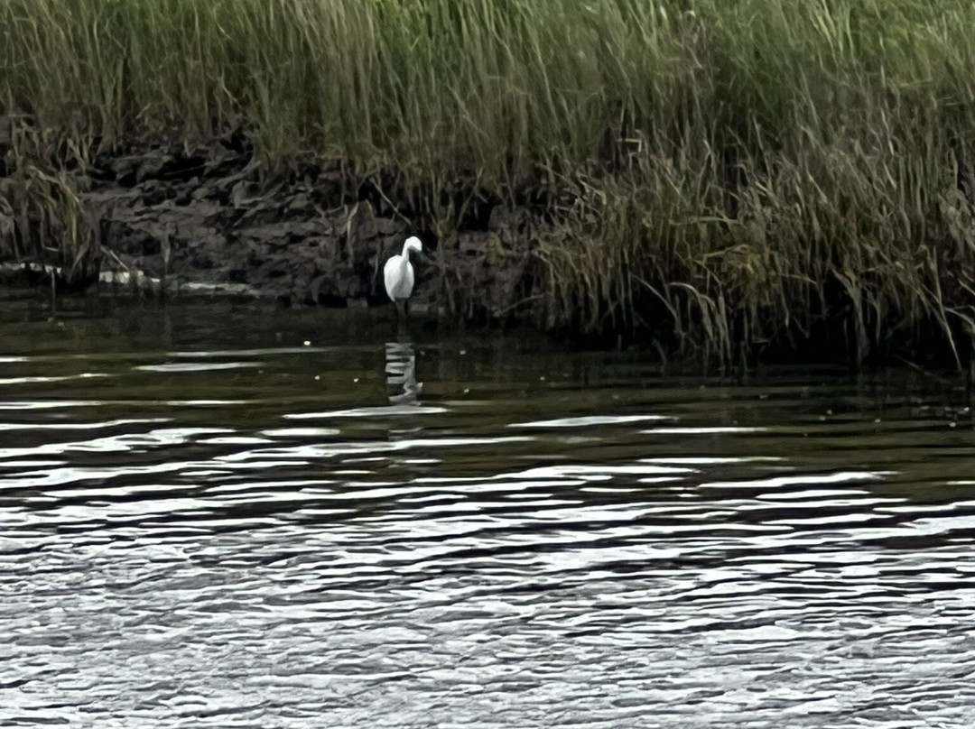 Wallasea Island Wild Coast景点图片