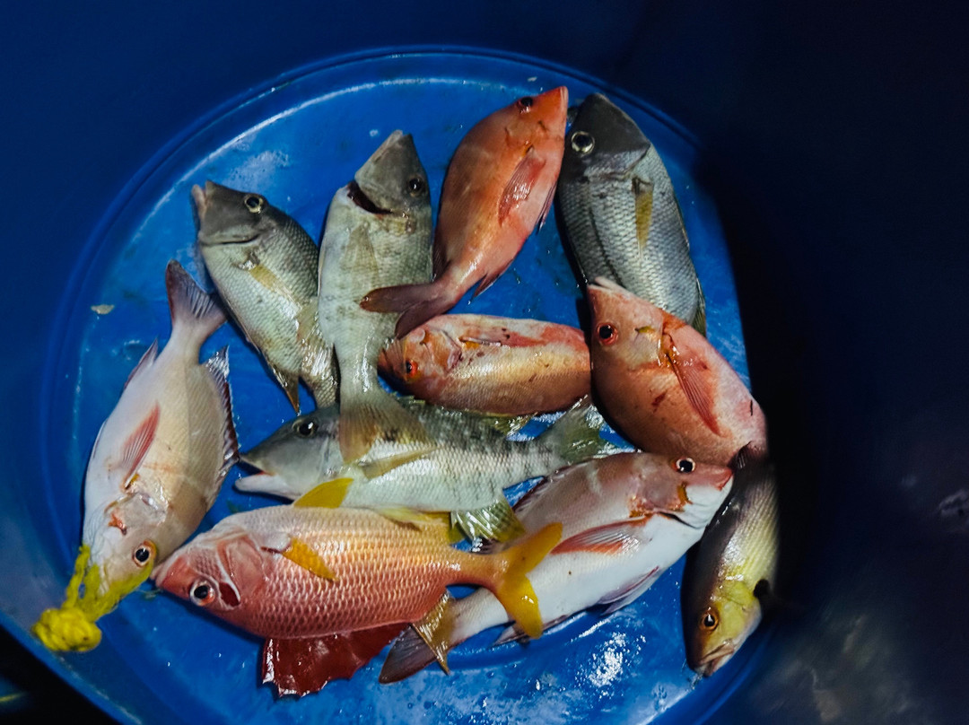 Alihuras Rasdhoo Dive & Excursions景点图片