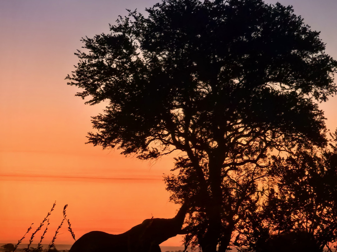 Africa's Best Adventures景点图片