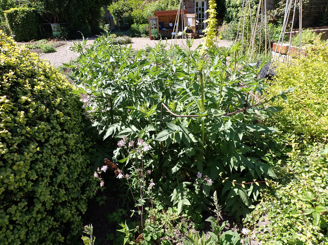 Priorwood Garden-Melrose必去景点
