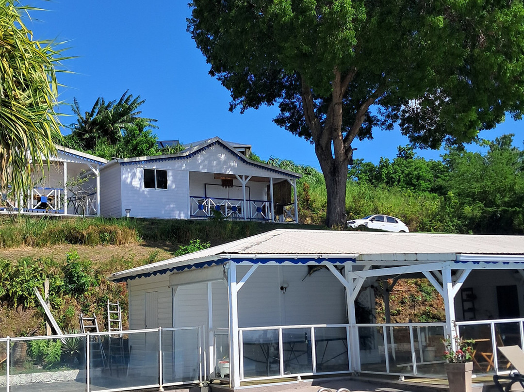 Le Jardin Tropical主图