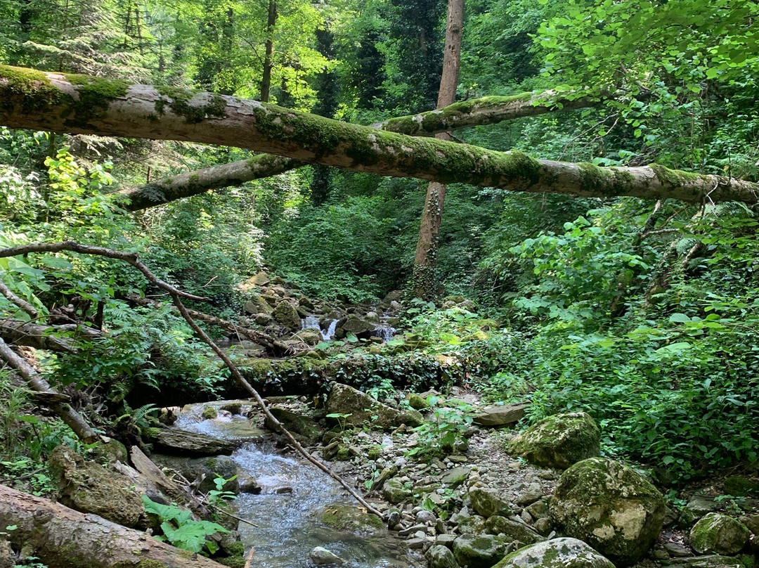 Large Kaverzinsky Waterfall景点图片