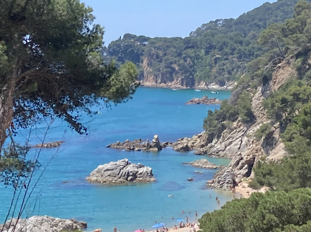 Playa Cala Sa Boadella-犹兰特德玛必去景点