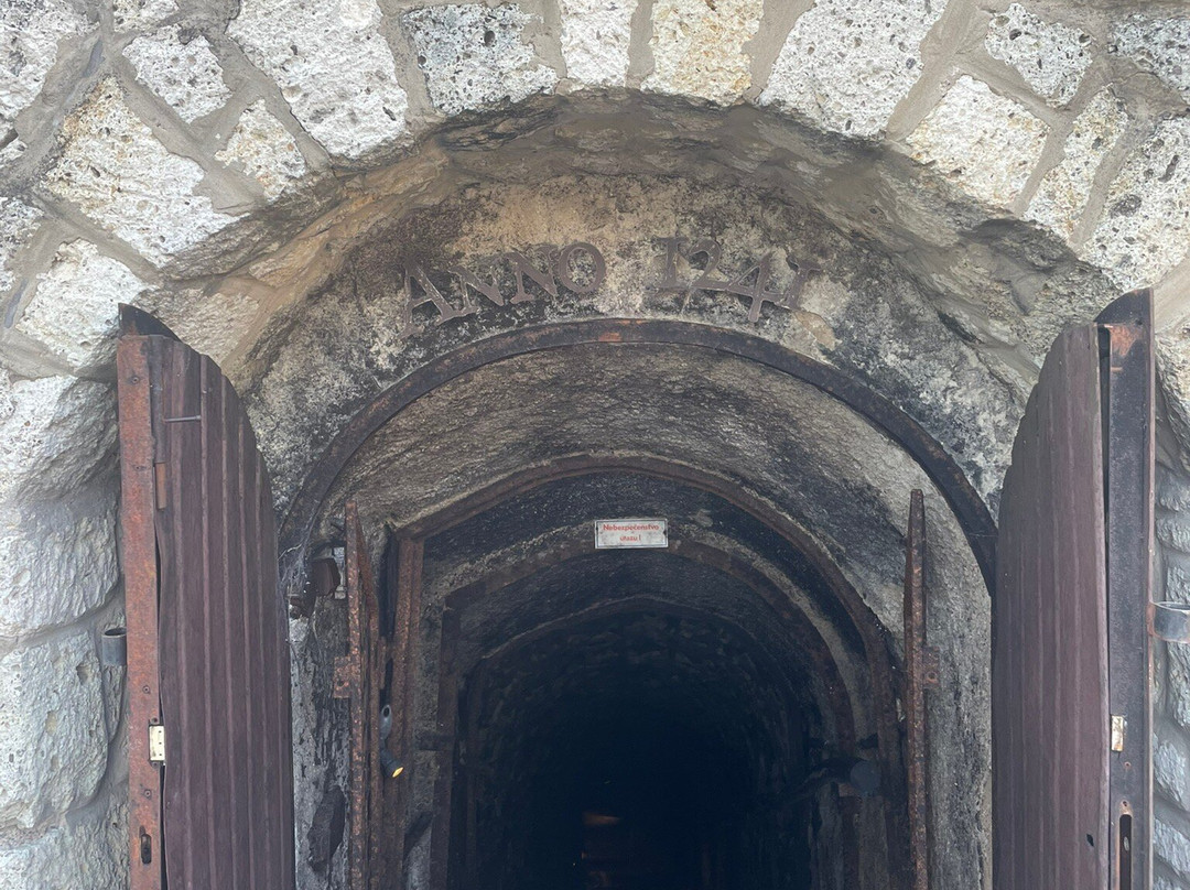 Tokaj Macik winery-Mala Trna必去景点