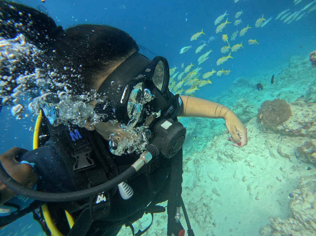 The Zanzibar Dive Centre, One Ocean-基万嘎必去景点