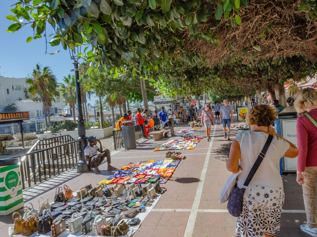 Paseo Maritimo-马贝拉必去景点
