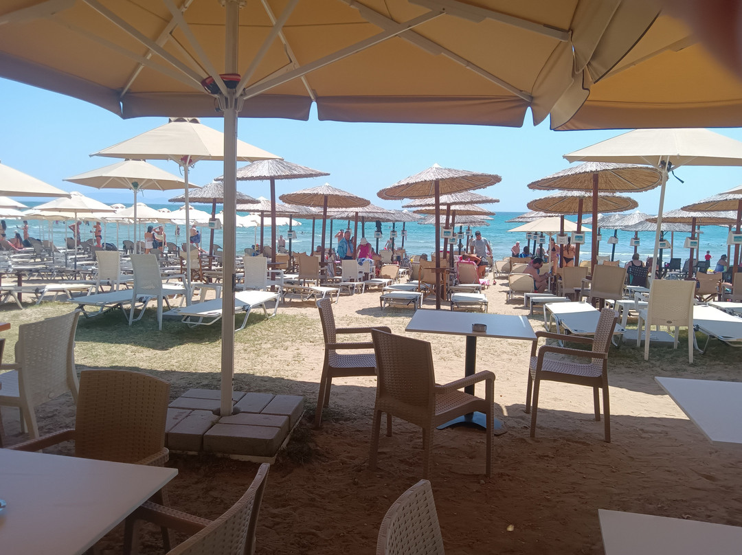 Aqua Note (on The Beach)