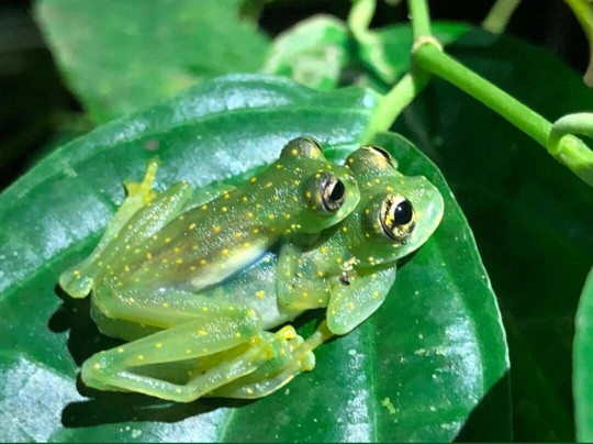 Nigth Tour Finca Don Juan