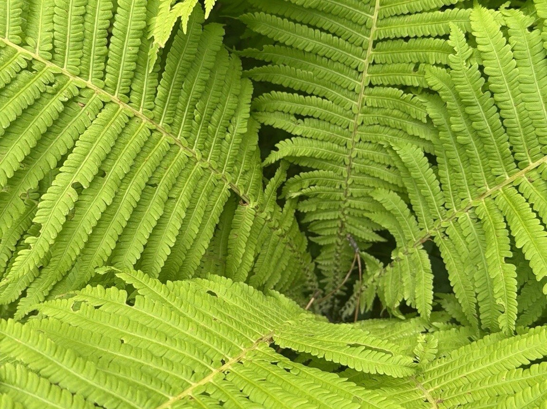 Bridge Street Cottages主图