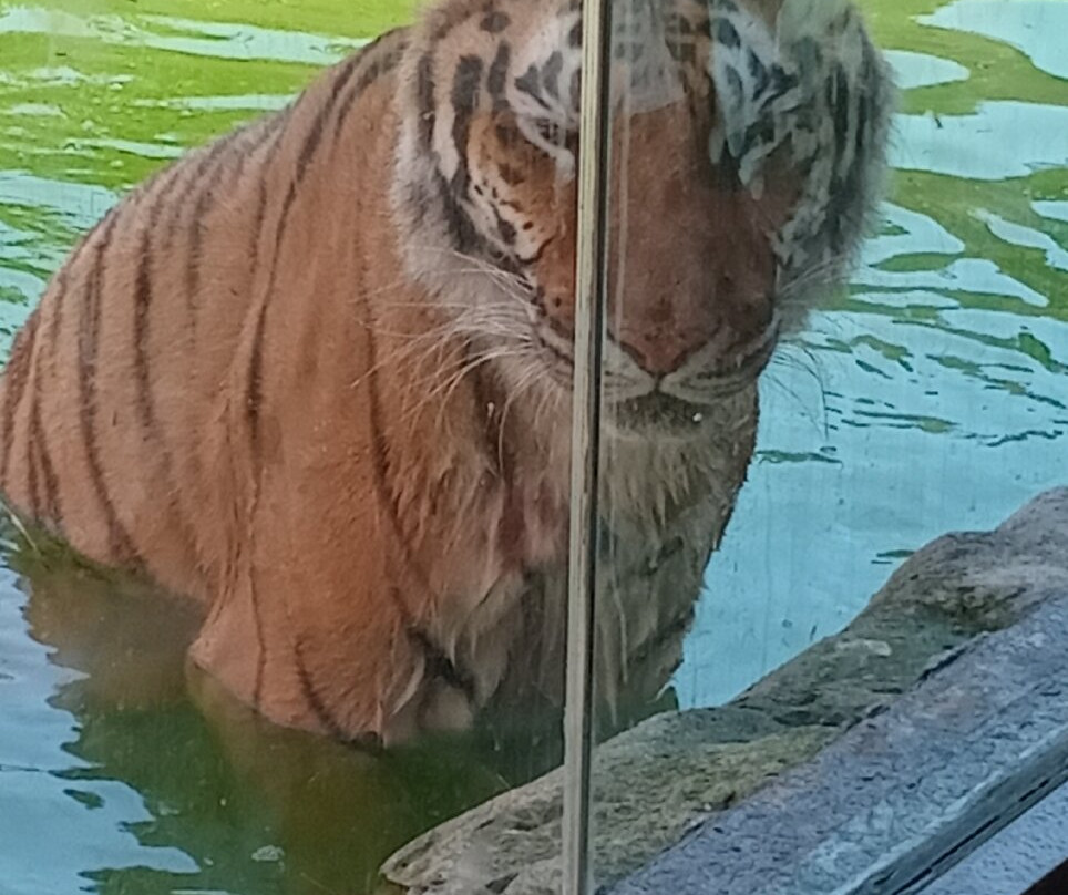 Terra Natura Benidorm-贝尼多姆必去景点