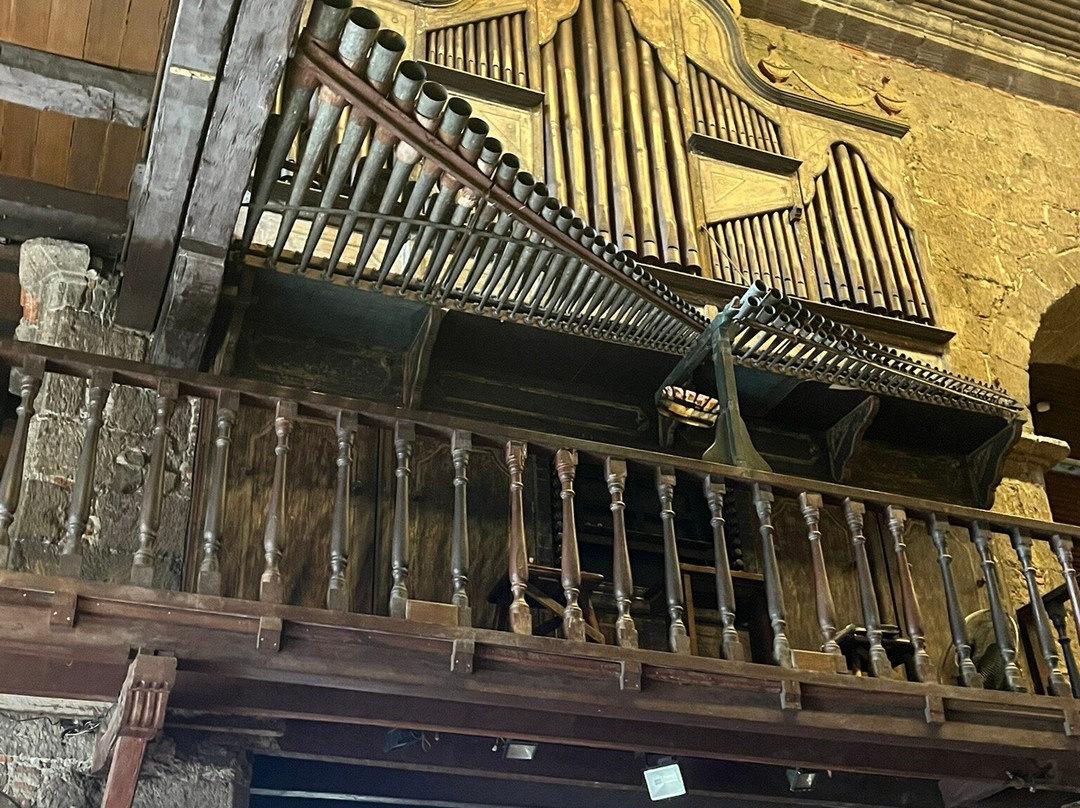 The Bamboo Organ and Museum Ttour-拉斯皮纳斯市必去景点