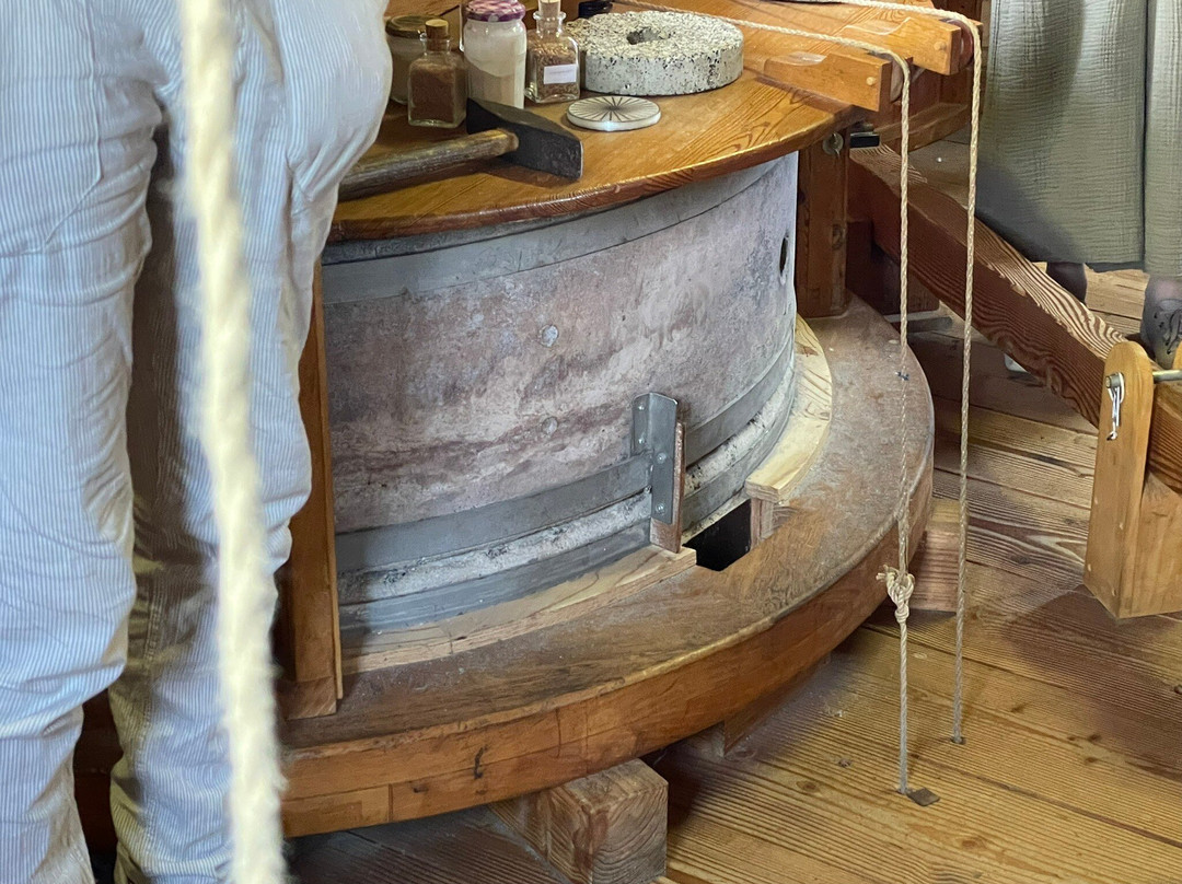 Molen De Adriaan Museum-哈勒姆必去景点