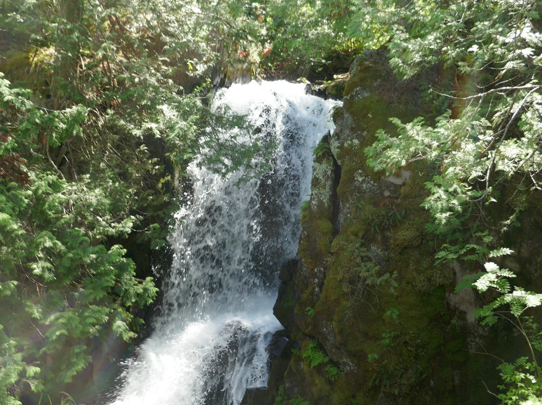 Border Lakes Tour Company-大马雷必去景点