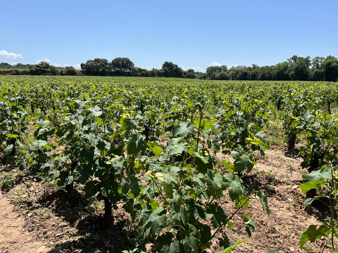 Bodega Finca Valpiedra-Fuenmayor必去景点