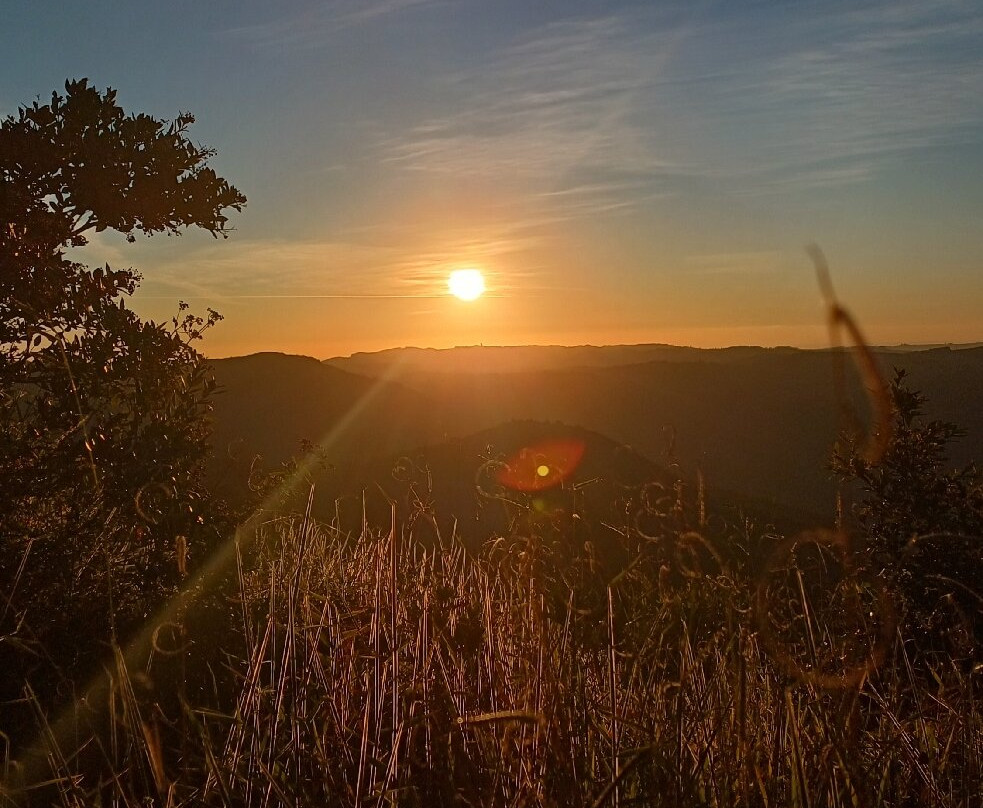 Mercado do Cristo-Pocos de Caldas必去景点
