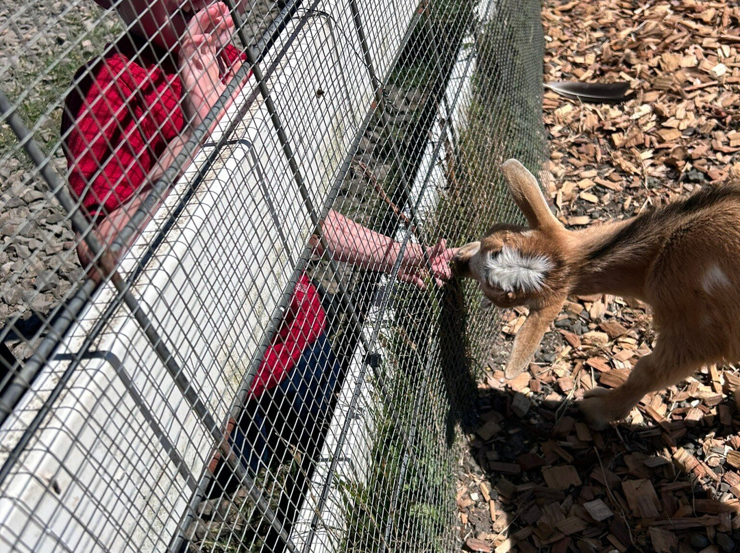 Blue Heron Cheese & Wine Company-蒂拉穆克必去景点