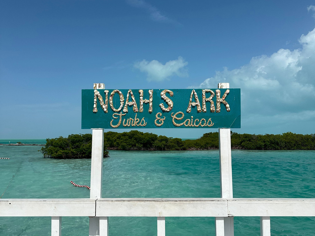 Moana Charters-普罗维登西亚莱斯必去景点