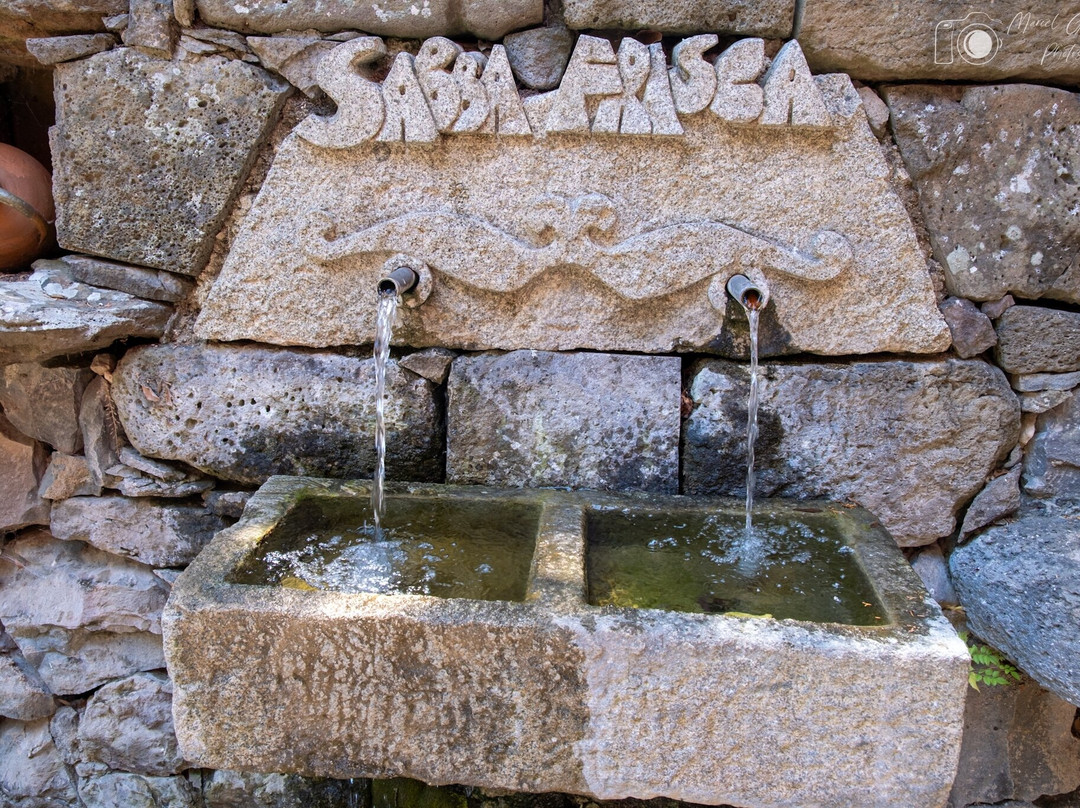 Parco Museo S'Abba Frisca-Dorgali必去景点