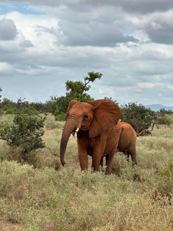 Adventure Trip At Yu Resort-Msambweni必去景点