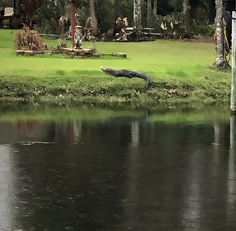 Rainbow River-Dunnellon必去景点