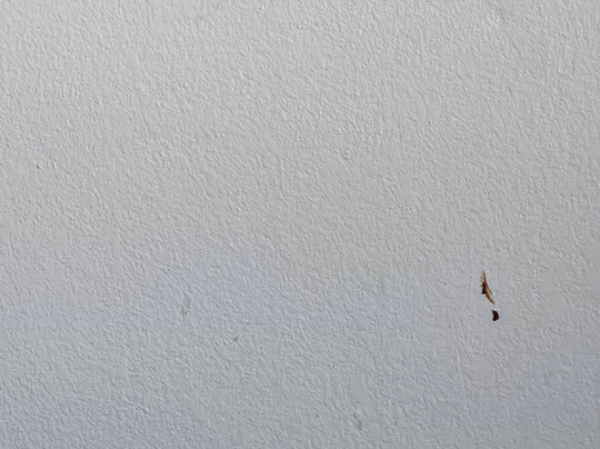 Isle of Capri Casino Hotel Boonville主图