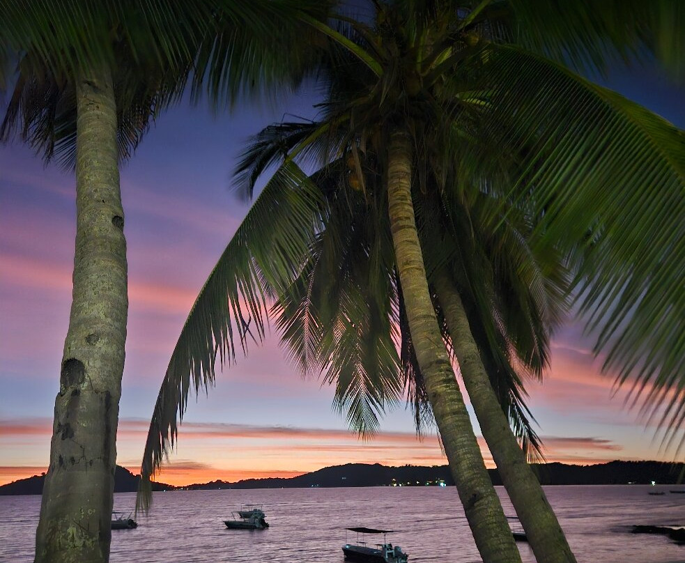 Madagascar Endemics & Resorts-安塔那那利佛必去景点