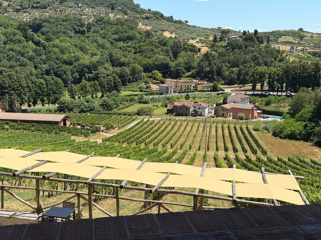 Tenuta Adamo Winery-卢卡必去景点