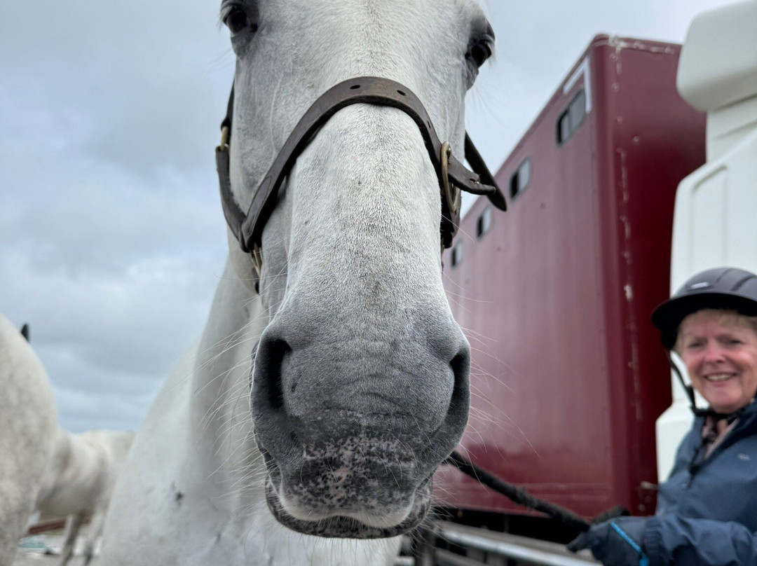 Connemara Equestrian Escapes-Moycullen必去景点