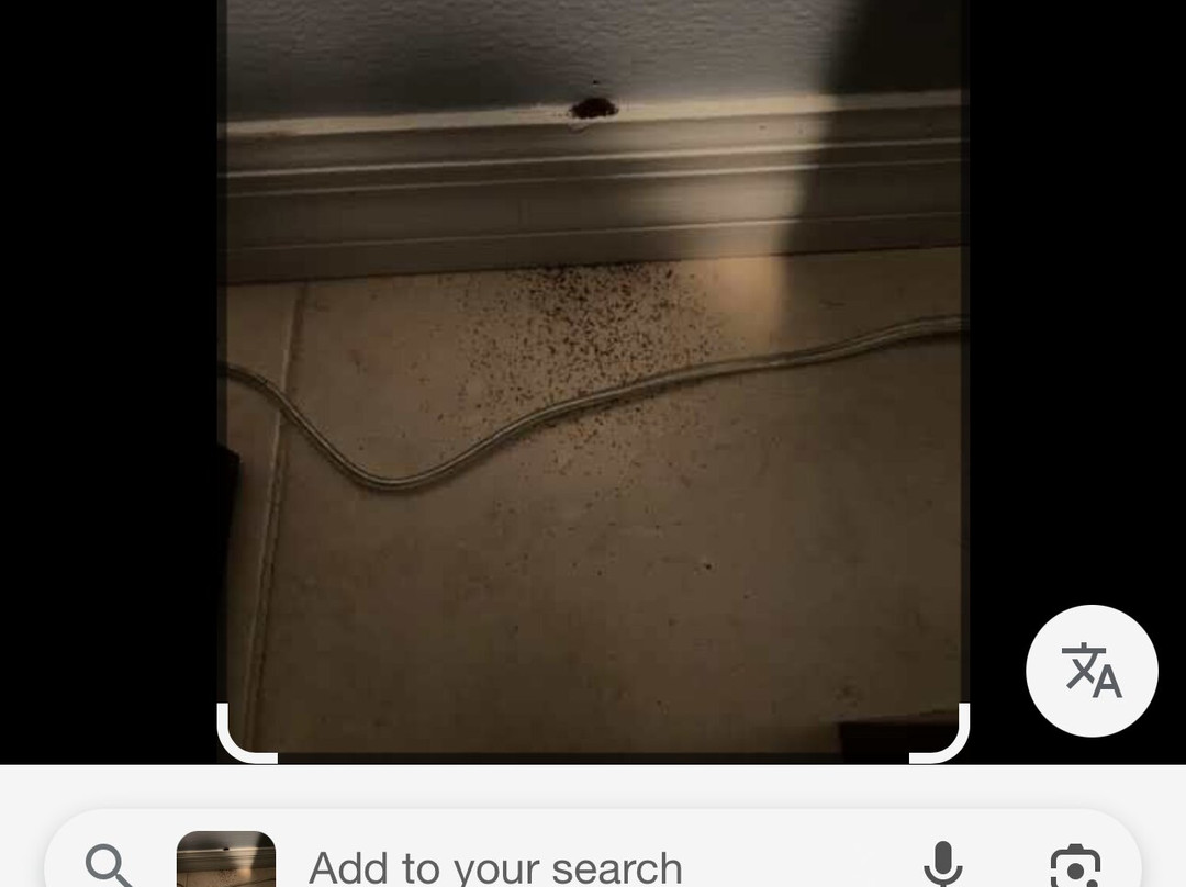 Sea Turtle Inn主图