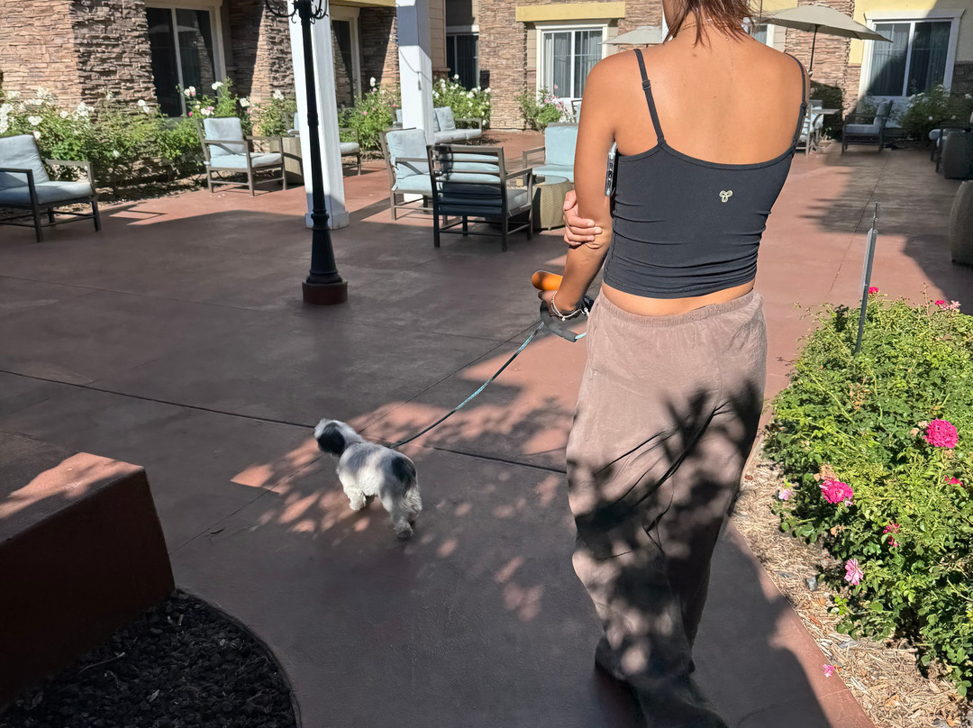 Homewood Suites by Hilton Agoura Hills主图