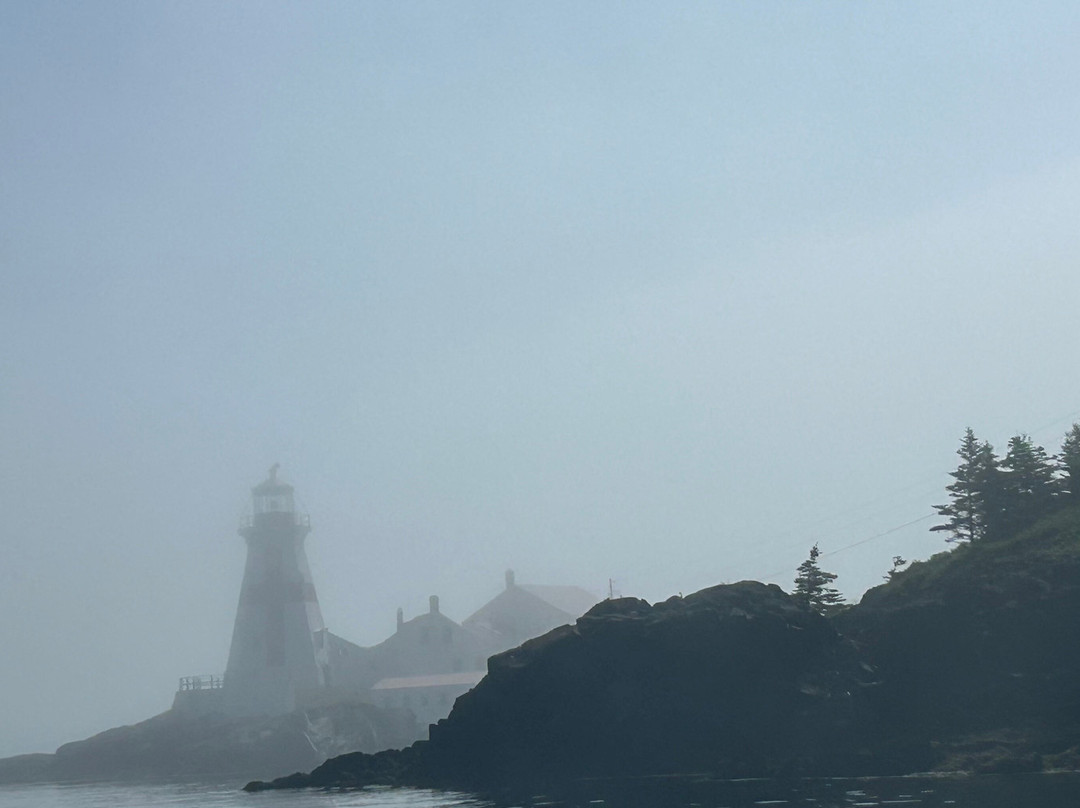 Island Quest Marine-Saint Andrews必去景点