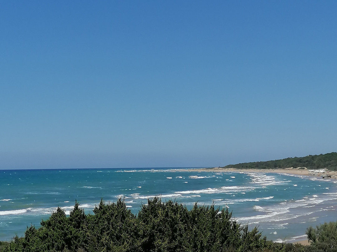 Helidonia Apartments主图