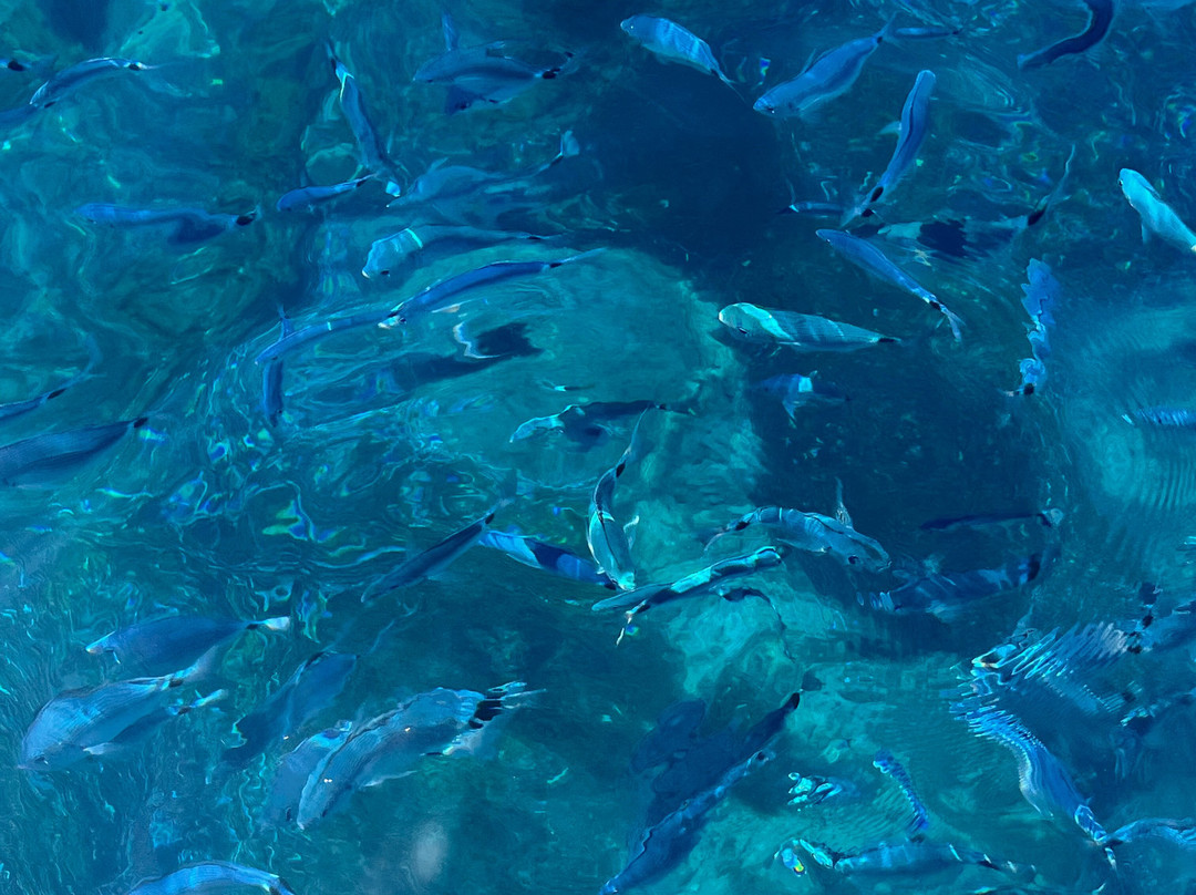 Sporting Yacht Club - Costa Rei-Castiadas必去景点