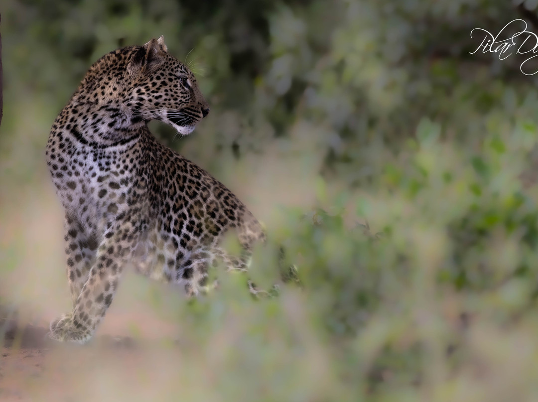 Bafazi Safari and Tours-雾观必去景点