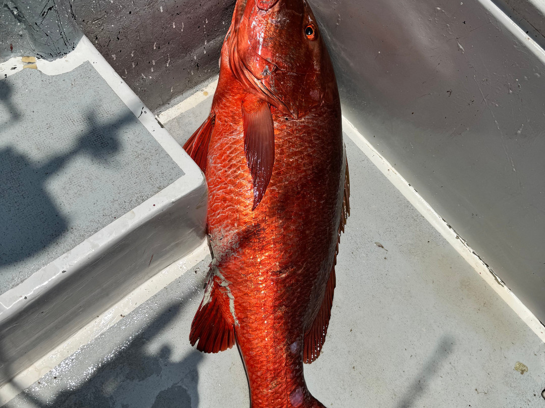 MiraMar Yelapa主图