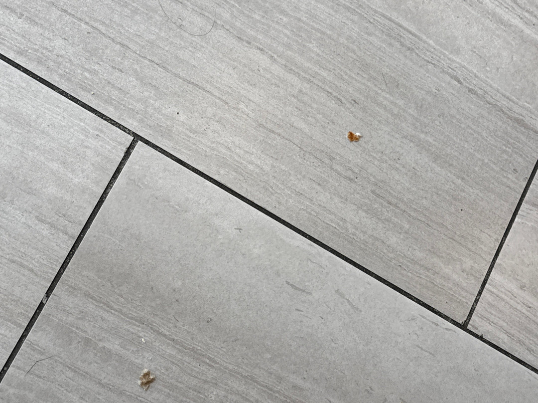 Holiday Inn Express & Suites Elko By IHG主图