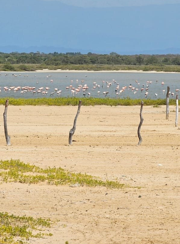 Nina-Kite-Riohacha必去景点