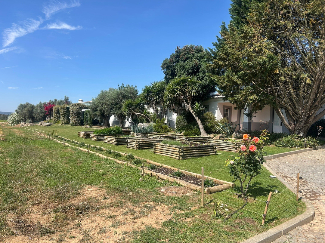 Joao Portugal Ramos Wines-Estremoz必去景点