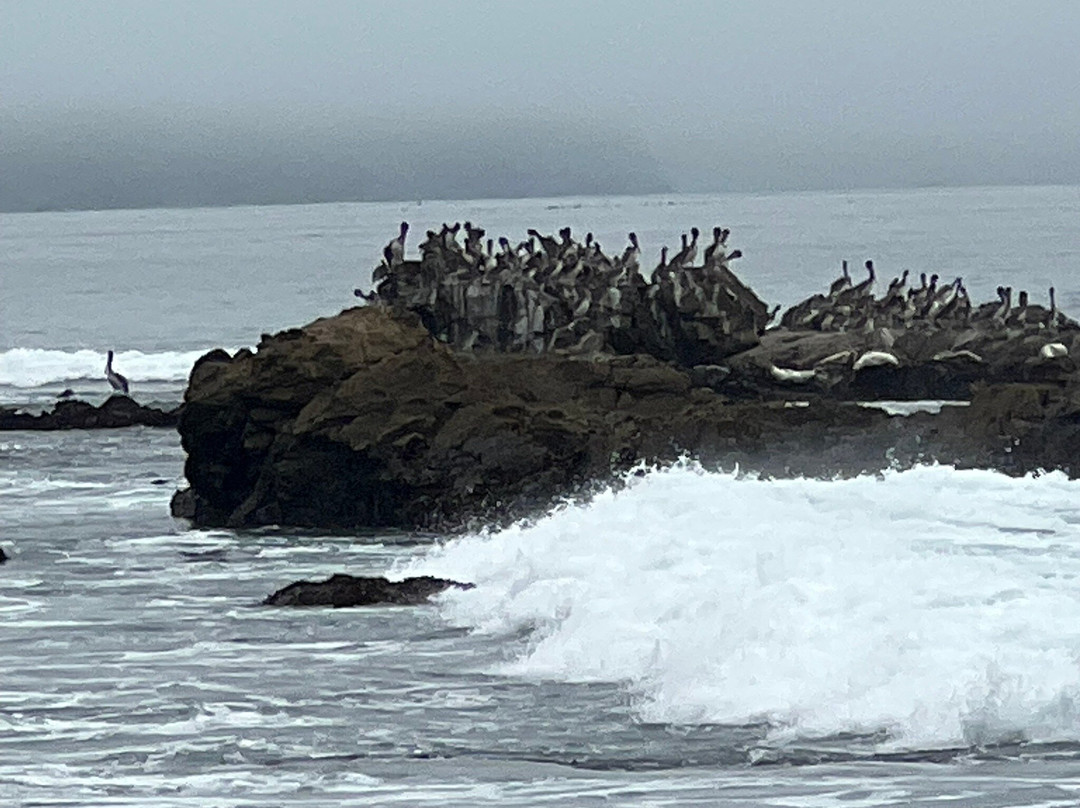 The Shelter Cove Oceanfront Inn主图